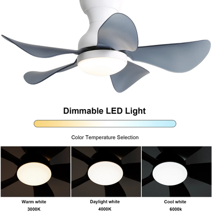 29 Inch Small Size Ceiling Fan Hot Sale DC Motor 5 ABS Blade Led Ceiling Fan With Light For Indoor