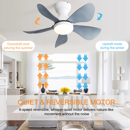 29 Inch Small Size Ceiling Fan Hot Sale DC Motor 5 ABS Blade Led Ceiling Fan With Light For Indoor