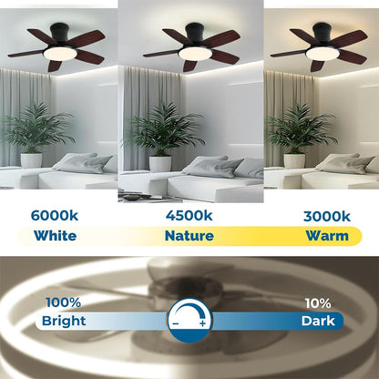 High-End Ceiling Fan 42 Inch 5 Plywood Blade Modern Nordic Ceiling Fan With Light And Remote Control