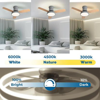 New Design 42 Inch 3 Blade Ceiling Fan Simple Mute Ceiling Fan With Light And Remote Control