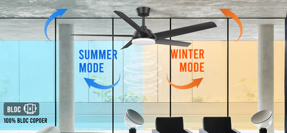 Home Decor Modern Fan Light Remote Dc Motor LED Ceiling Fans With Light For Household