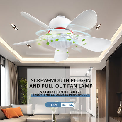 16 Inch 5 Blade Ceiling Fan Small Size E26 E27 Socket Ceiling Fan High Quality Simple Modern Ceiling Fan With Light