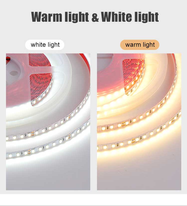 Wholesale Smart Cheap Wifi Flex 12V 5M Outdoor Flexible Led Strip Light 2835 5050 Smd Rgb Waterproof Cob Led Light Strip Light